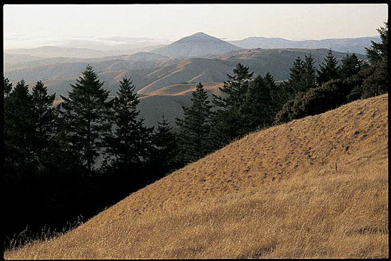 Briones Regional Park: The view from Briones Peak.