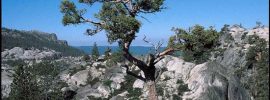 Lake Margaret is reached by an easy hiking trail in the Sierra Nevada's Eldorado National Forest, just north of Mokelumne Wilderness.