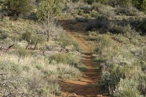 Rrom Whitney Butte Trail in Lava Beds National Monument, you'll see many mountains, including Mount Dome to the north.