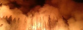 California wildfire: the 2013 Rim Fire in Yosemite National Park burned 250,000 acres and generated vast amounts of smoke. Courtesy U.S. Dept. of Agriculture