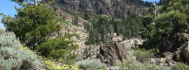Sierra Buttes from the Pacific Crest Trail. Lots of wildflowers and metamorphic rock.