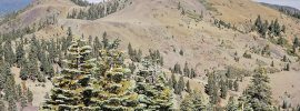 View of Snow Mountain East. Berryessa Snow Mountain National Monument in Mendocino National Forest in Northern California.