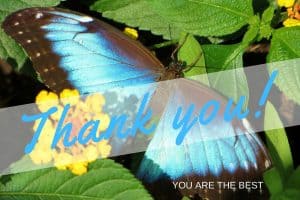 Northern California hiking guidebook author thanks trail supervisors, forest rangers, and visitor center personnel for answering questions, providing information, and reading hike descriptions.