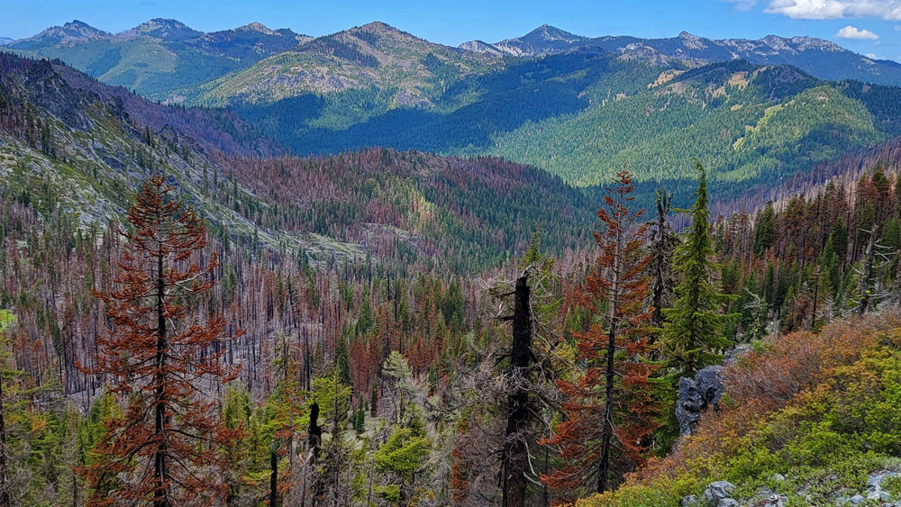 Damage from the 2021 River Complex Fire in the Trail Gulch Lake valley. The Russian Wilderness escaped the wildfire.