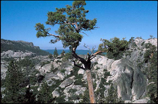 Lake Margaret in Mokelumne Wilderness in the Sierra Nevada Mountains.