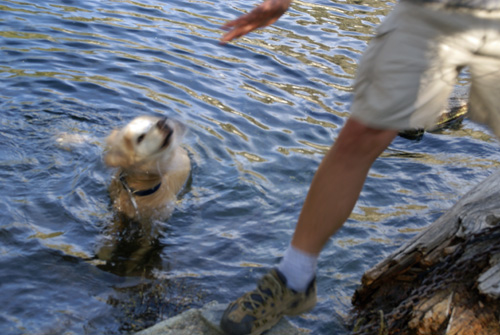 Molly at Cliff Lake