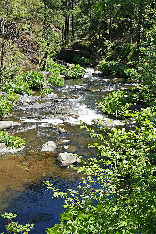 Squaw Valley Creek near McCloud in Northern California